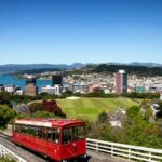 Cultural Group Tours of New Zealand